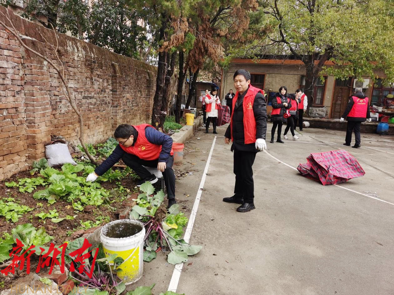 大禾塘街道:多舉措扎實推進創文工作_邵陽頭條網